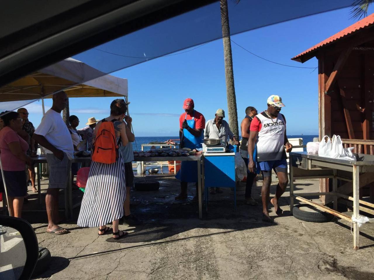 勒卡尔贝T2 Tropical En Bord De Piscine A 100M De La Mer公寓 外观 照片