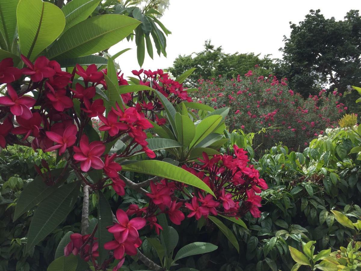 勒卡尔贝T2 Tropical En Bord De Piscine A 100M De La Mer公寓 外观 照片